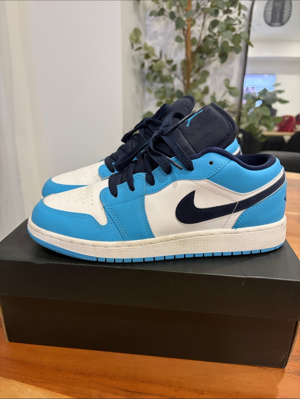 Jordan 1 Low Powder Blue Kids